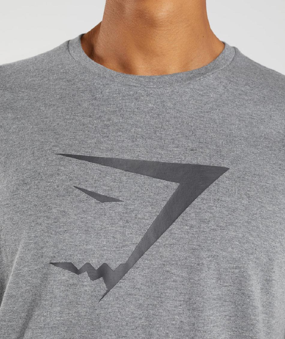 T Shirts Gymshark Sharkhead Infill Hombre Gris | CO 3316XYU